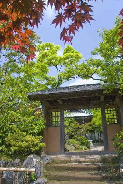 DSC_1213.jpg