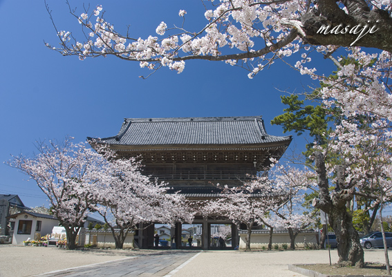 DSC_0565のコピー.jpg