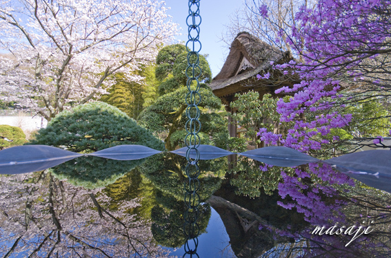 DSC_0762のコピー.jpg