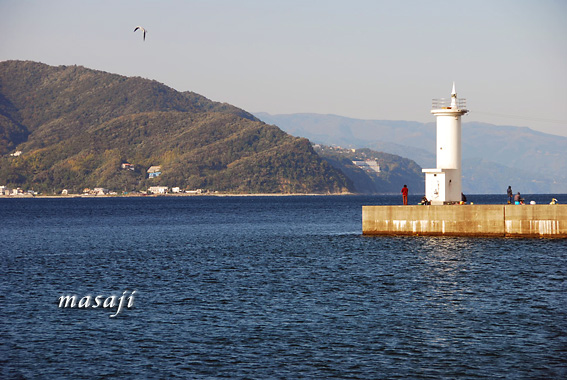 DSC_7113.jpg