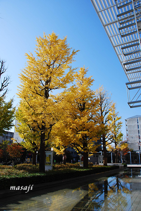 DSC_7592のコピー.jpg