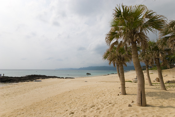 DSC_6519.jpg
