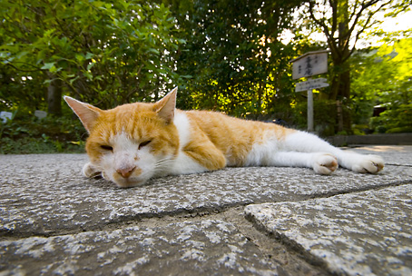 DSC_5021.jpg
