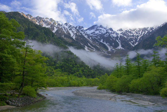 DSC_4498a.jpg