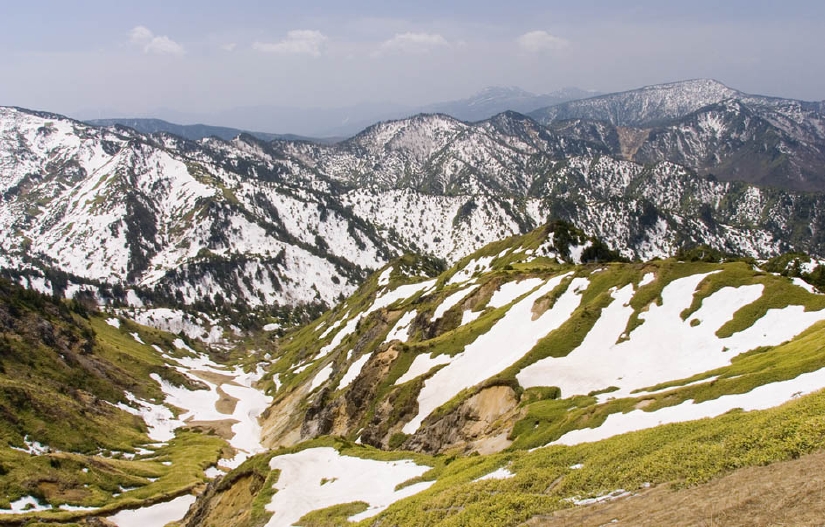 DSC_4051-2.jpg