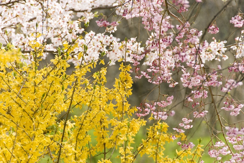 DSC_3499.jpg