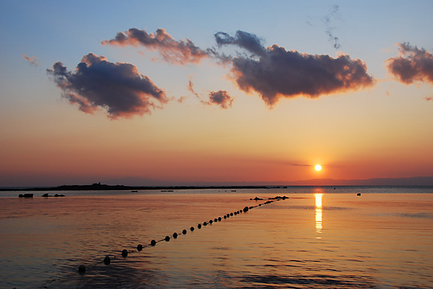 DSC_2416.jpg
