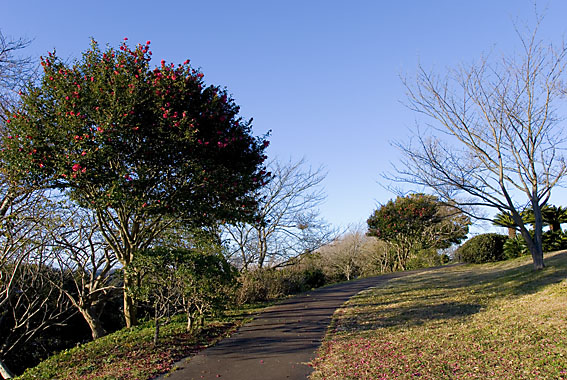 _DSC1740web.jpg