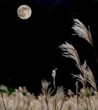 DSC_0913+0938.jpg
