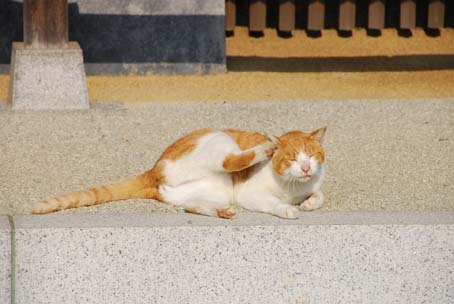 DSC_0876.jpg