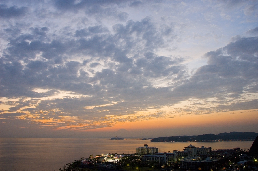 DSC_3655.jpg