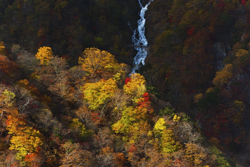 D8H_2095-2012_11_02_1106-.jpg
