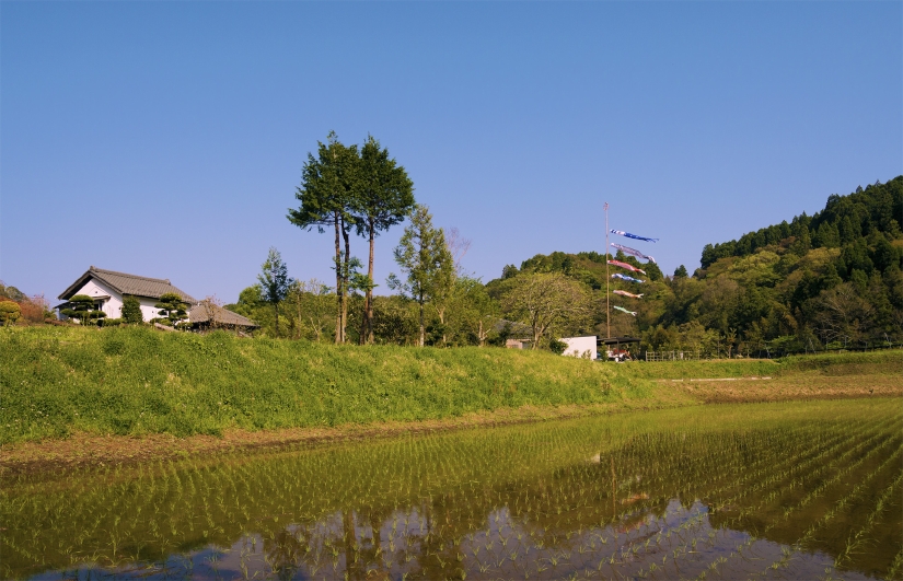 aD8H_5279-20130415-1546.jpg