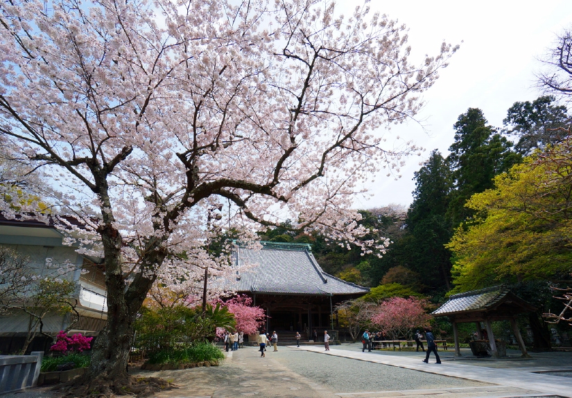 aDSC00758-20140402-1126.jpg