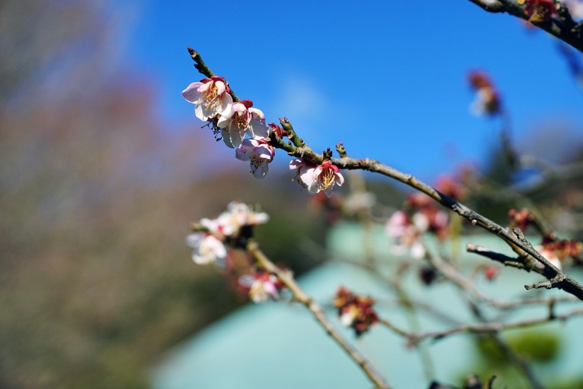 20160216_3780.jpg