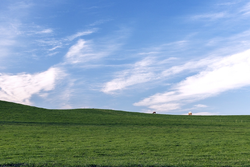 D75_3393-2016_05_13_1656-.jpg
