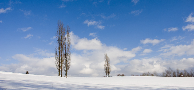 _DSC1497a.jpg