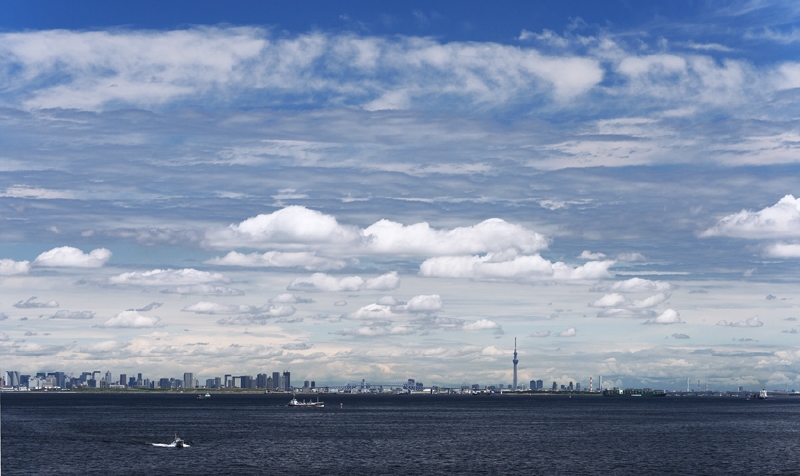 D8H_9356-2012_06_10_1023-.jpg